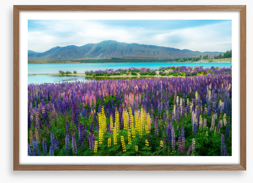 New Zealand