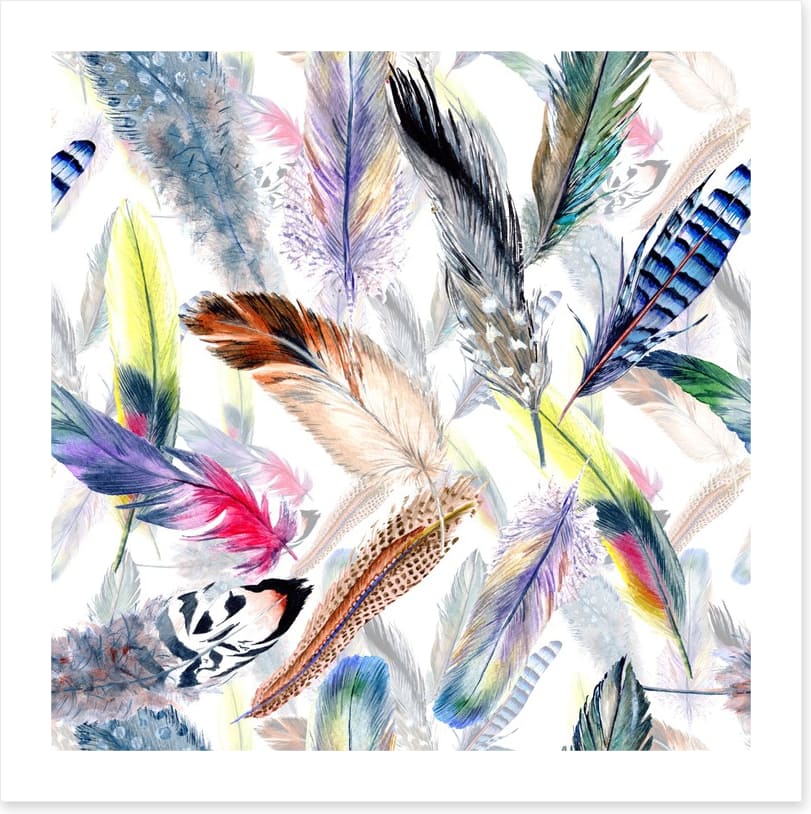 Falling feathers
