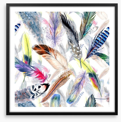 Falling feathers
