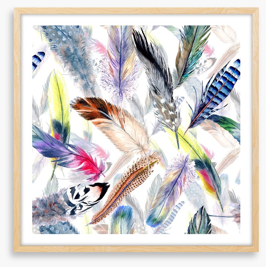 Falling feathers