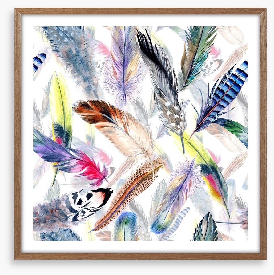 Falling feathers