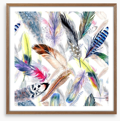 Falling feathers