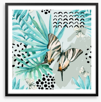 Butterflies