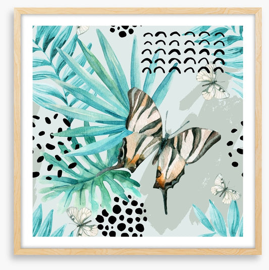 Butterflies
