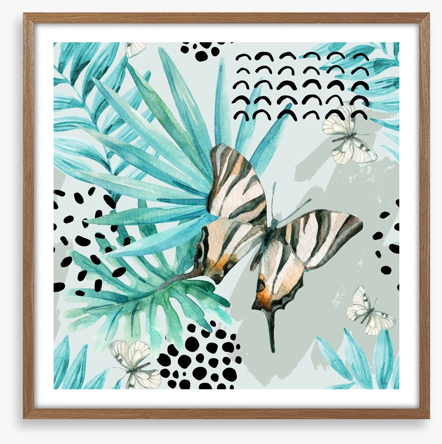 Butterflies
