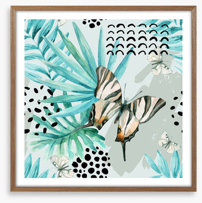 Butterflies