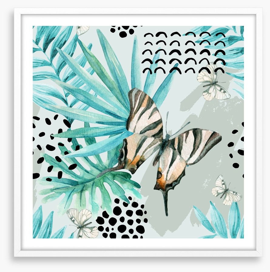 Butterflies