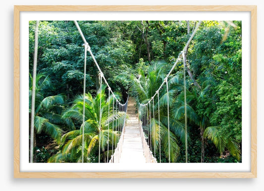 Into the jungle