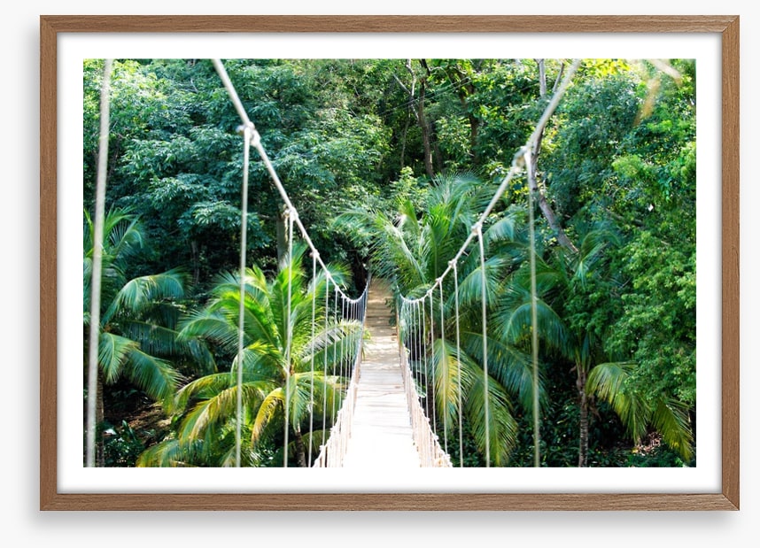Into the jungle