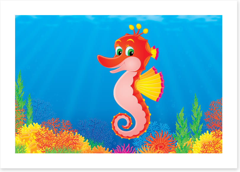 Seahorse smile