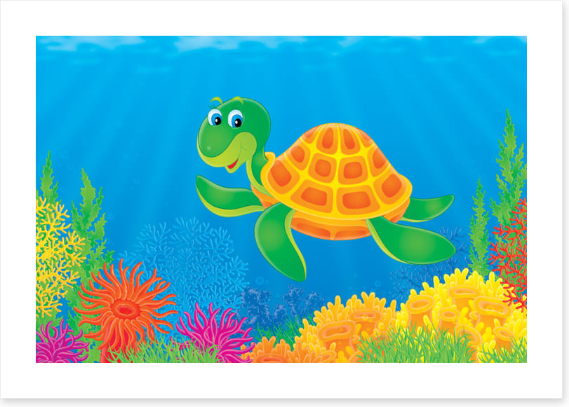 Green turtle grin