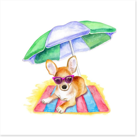 Bruiser at the beach