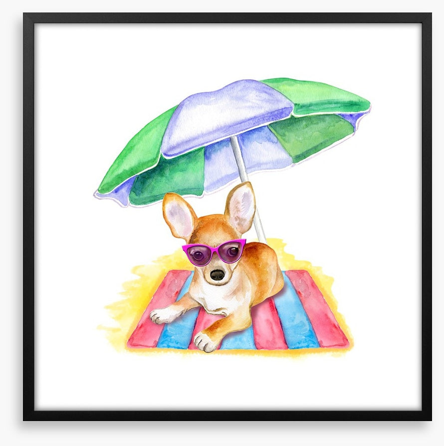 Bruiser at the beach