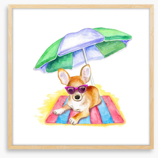 Bruiser at the beach