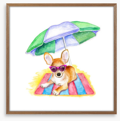 Bruiser at the beach