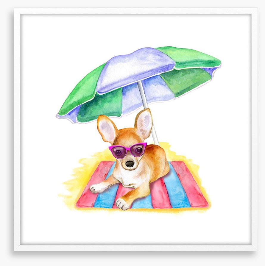 Bruiser at the beach