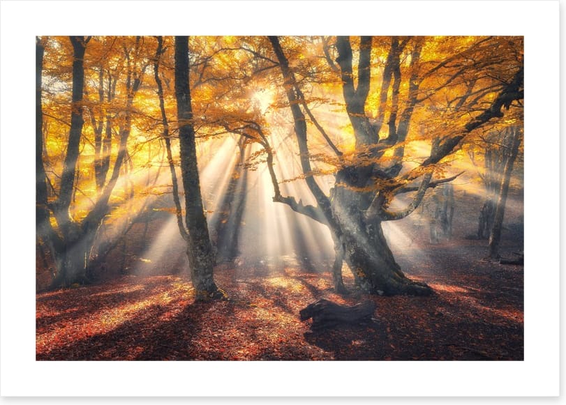 Aethereal autumn sun