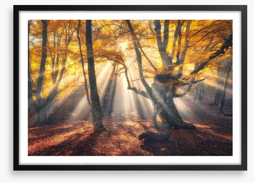 Aethereal autumn sun