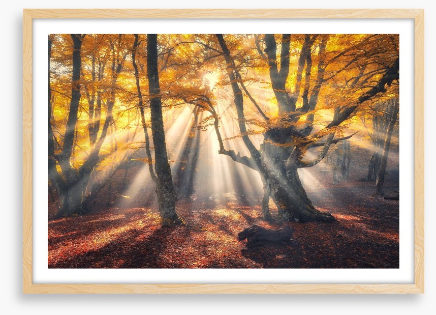 Aethereal autumn sun