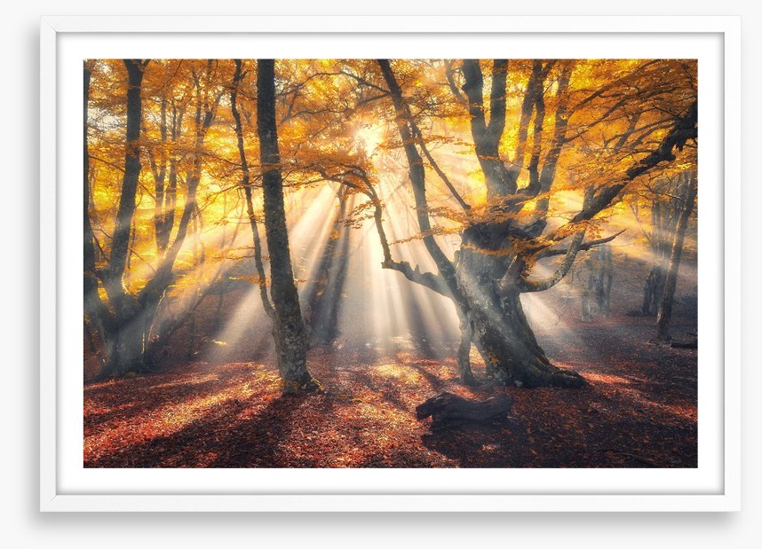 Aethereal autumn sun