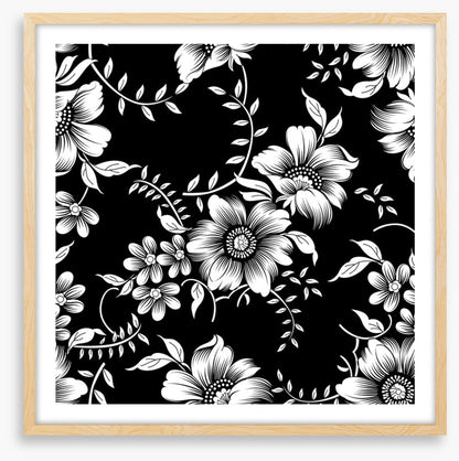 Moonlight blooms