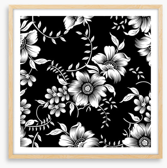 Moonlight blooms