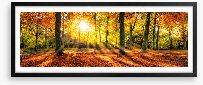 Sunset on amber