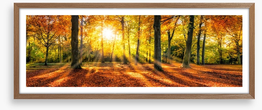 Sunset on amber