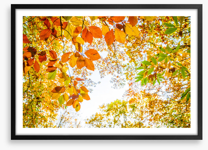 An autumn sky