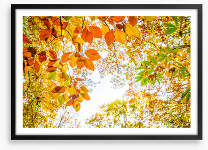 An autumn sky
