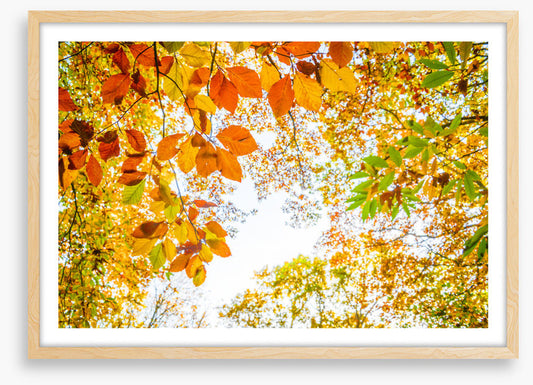 An autumn sky