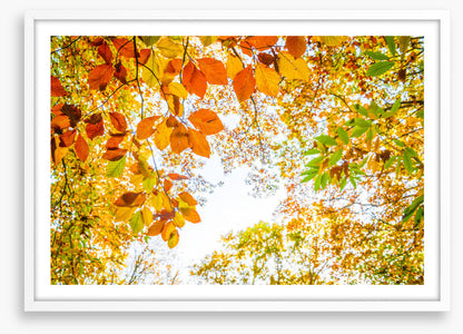An autumn sky