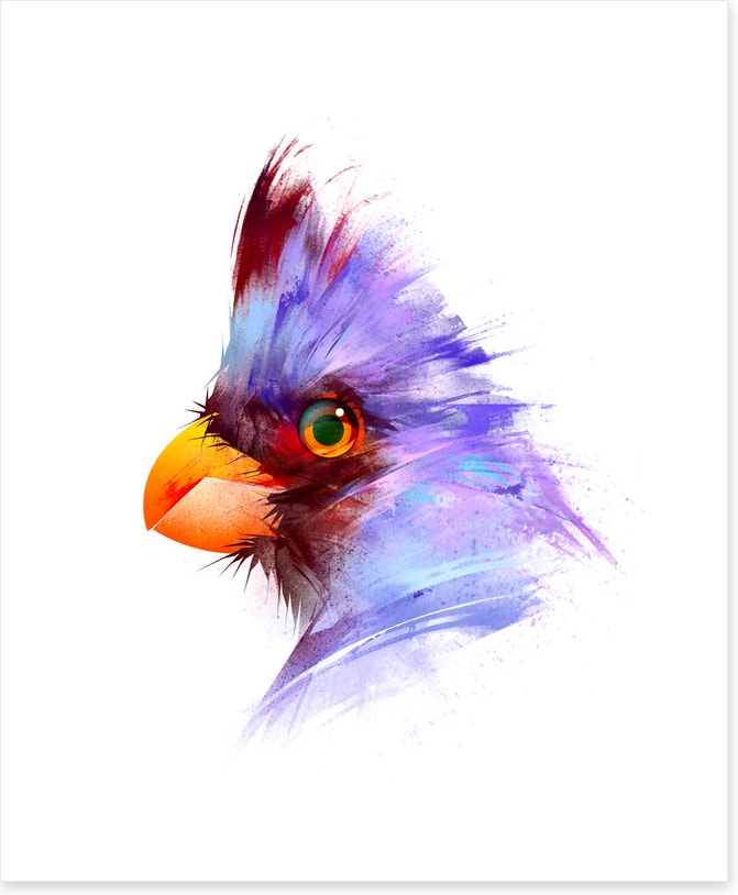 Birds