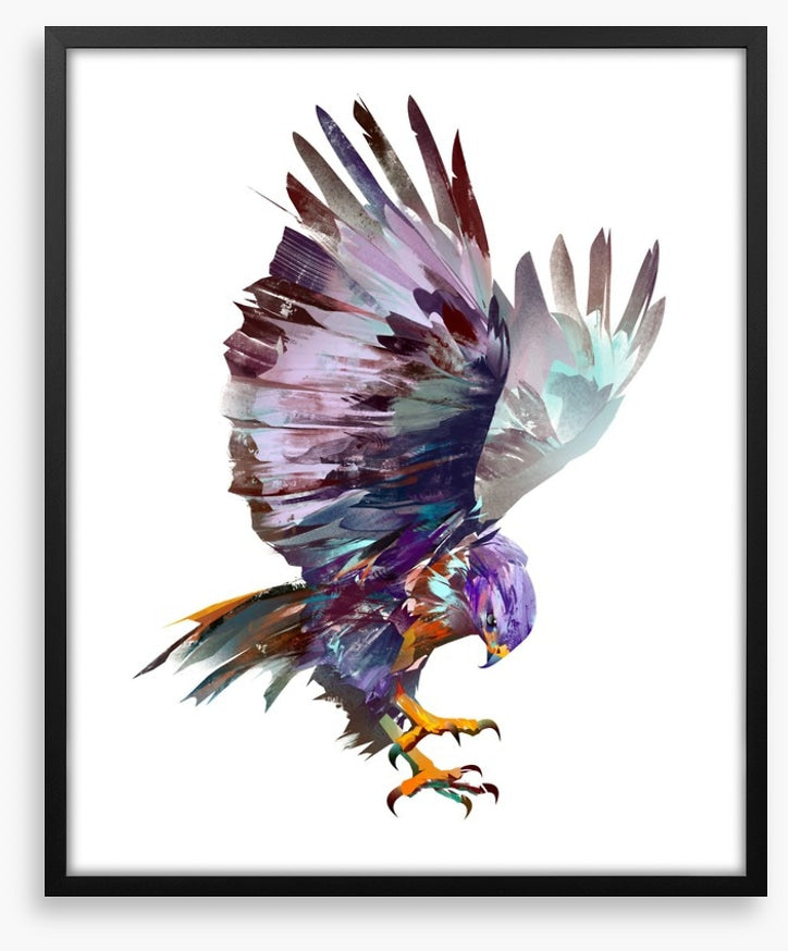 Hawk on the hunt