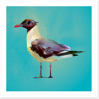 Seagull standoff