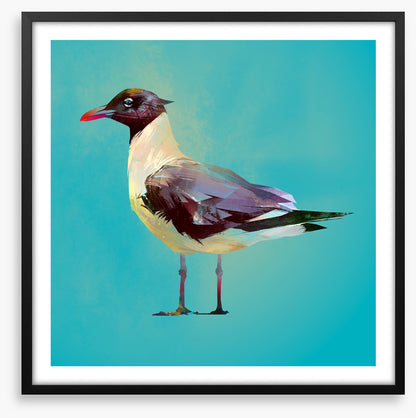 Seagull standoff