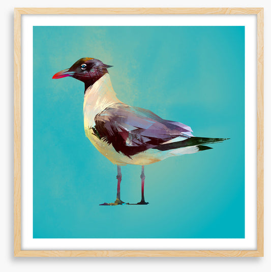 Seagull standoff