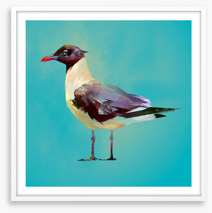 Seagull standoff