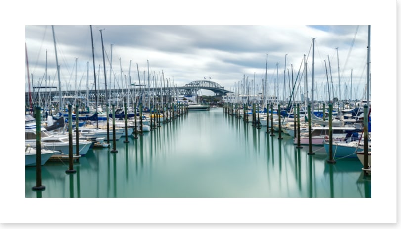 Auckland marina masts