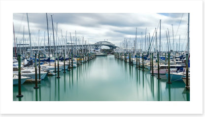 Auckland marina masts