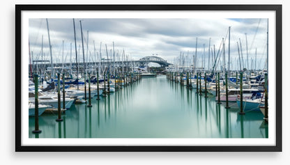Auckland marina masts