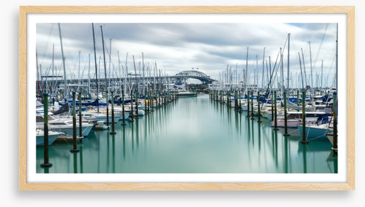 Auckland marina masts