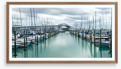 Auckland marina masts