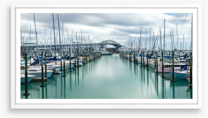 Auckland marina masts
