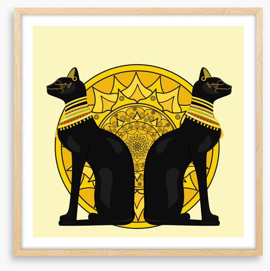 Cats of Cairo