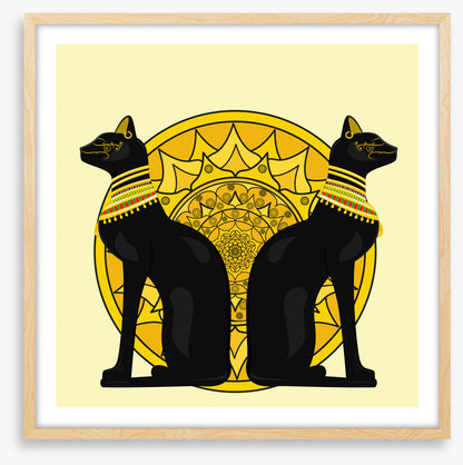 Cats of Cairo