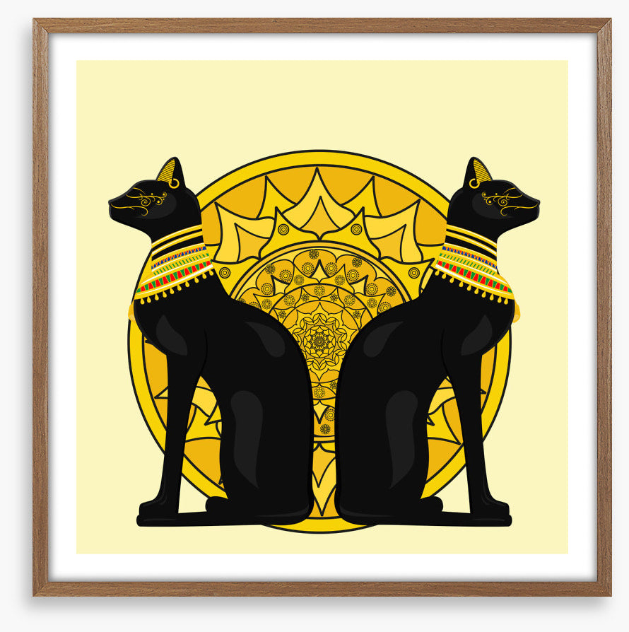 Cats of Cairo