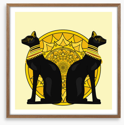 Cats of Cairo