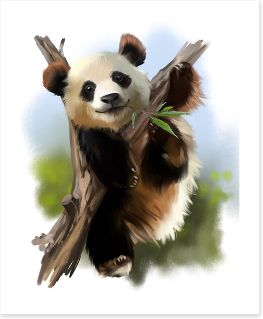 Little giant panda