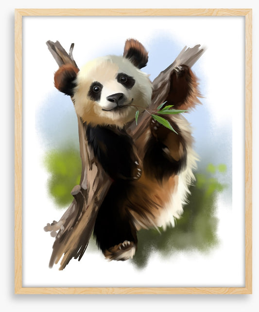 Little giant panda